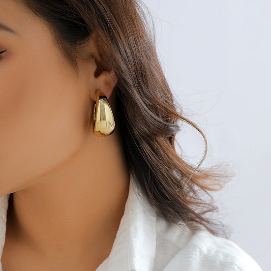 Exaggerated punk metal earrings, personalized niche earrings, trendy hip-hop fashion earrings