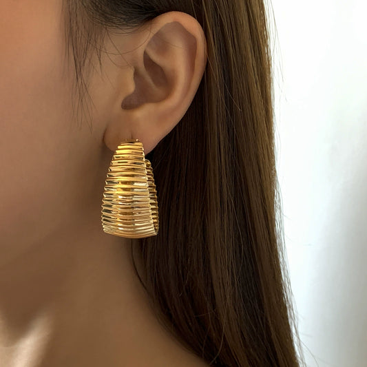 Exaggerated punk metal earrings, personalized niche earrings, trendy hip-hop fashion earrings
